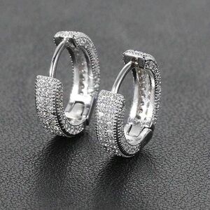 Elegant Silver Hoop Earrings